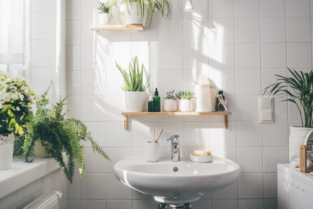 best plants for bathroom